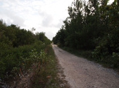 Enlarge photo 90