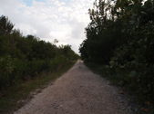 Enlarge photo 91