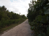 Enlarge photo 92