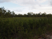 Enlarge photo 93