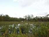 Enlarge photo 95
