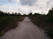 Enlarge photo 96