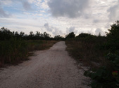 Enlarge photo 97