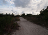 Enlarge photo 98