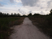 Enlarge photo 99