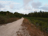 Enlarge photo 100