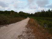 Enlarge photo 102