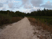 Enlarge photo 104