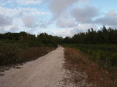 Enlarge photo 103