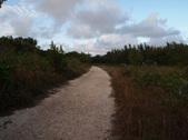 Enlarge photo 105