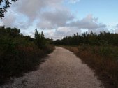 Enlarge photo 106