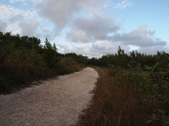 Enlarge photo 107