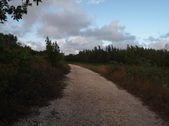 Enlarge photo 108