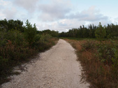 Enlarge photo 109