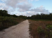Enlarge photo 110