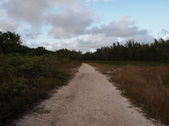 Enlarge photo 111