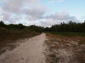 Enlarge photo 112