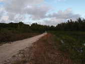 Enlarge photo 113