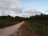 Enlarge photo 114
