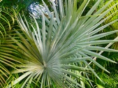 Enlarge photo 53