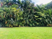 Enlarge photo 52