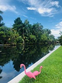 Enlarge photo 54