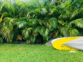 Enlarge photo 56