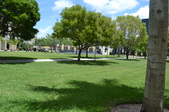 Enlarge photo 47