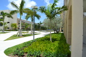 Enlarge photo 53