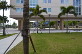 Enlarge photo 77