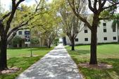 Enlarge photo 91
