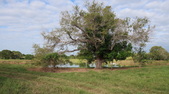 Enlarge photo 26