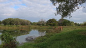 Enlarge photo 34