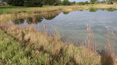 Enlarge photo 36