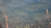 Enlarge photo 37