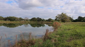 Enlarge photo 41