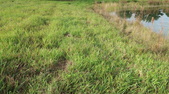 Enlarge photo 42