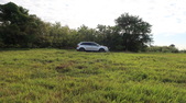 Enlarge photo 43