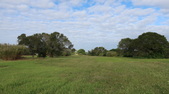 Enlarge photo 46