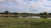 Enlarge photo 49