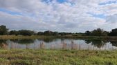 Enlarge photo 52