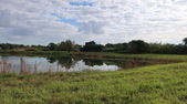 Enlarge photo 53
