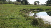 Enlarge photo 58