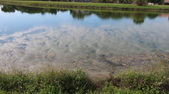 Enlarge photo 59