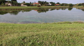 Enlarge photo 62