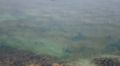 Enlarge photo 63