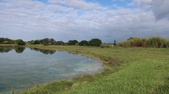 Enlarge photo 64