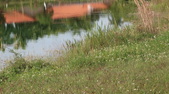 Enlarge photo 68