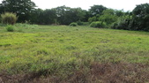 Enlarge photo 72