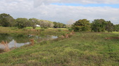 Enlarge photo 73